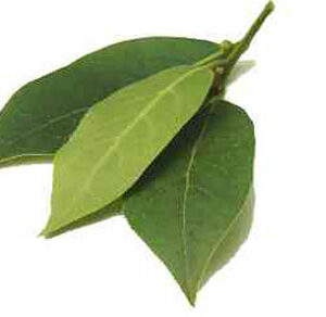 Bay Leaves 50 gm