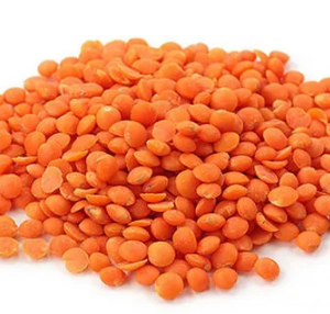 RED LENTILS 25KG