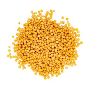 MUSTERD WHOLE YELLOW 100GM