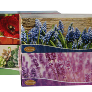 Eternity Facial Tissue 2PLY X 180 SHEETS ( 36 BOX)